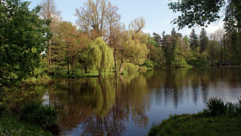 Park Norweski