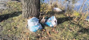 Dzikie wysypisko przy jeziorze w Wojcieszycach (droga Bukowa) – zdjęcie 4